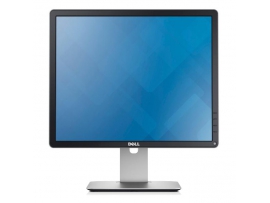Dell P1914S 19