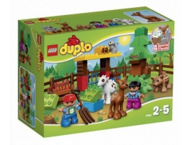 LEGO Duplo Miško gyvūnai, 2-5 m. vaikams (10582)