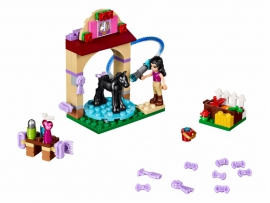 LEGO Friends Kumeliuko prausimo vieta, 5-12 m. vaikams (41123)