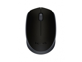 Logitech M171 pelė