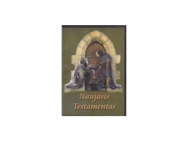 Naujasis Testamentas (MP3 DVD dėžutėje)