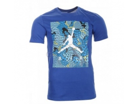 Nike Jordan Flight Flex Dri-Fit Tee marškinėliai