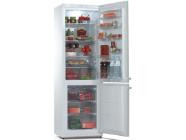 Snaigė RF36SM-P100273 šaldytuvas